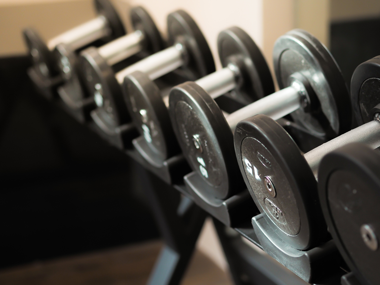 dumbbells in gym many dumbells in sport fitness center